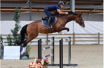 13. Ethan Z - gelding - °2019